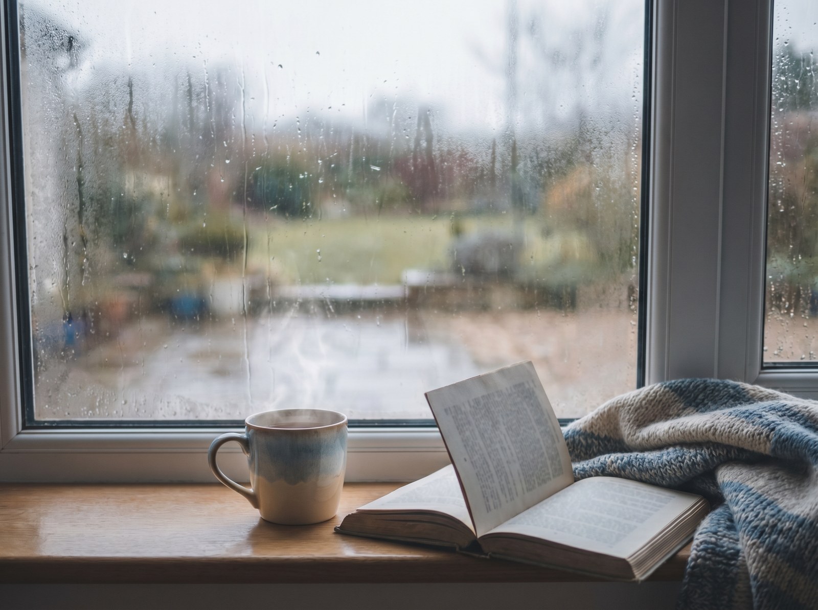 蘑菇视频治愈影像 - 雨天窗边的静谧时光